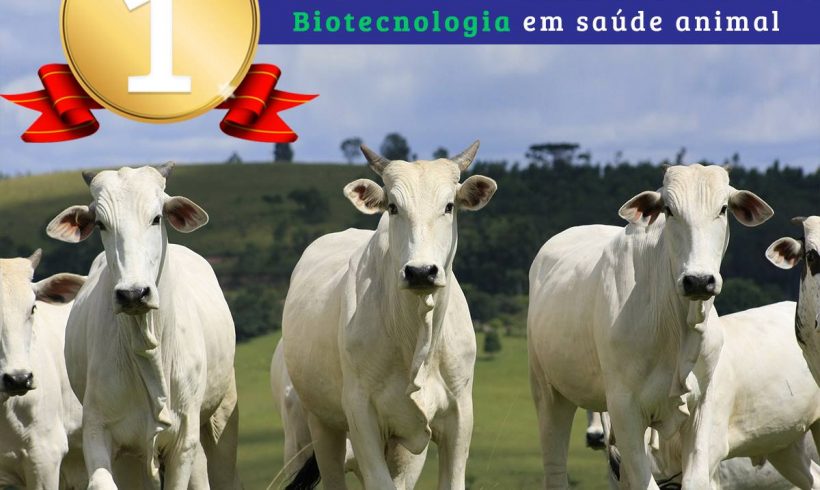 Estamos no Grupo 1 – Biotecnologia em saúde animal