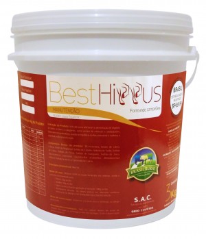 BESTHIPPUS_MANUTENCAO1