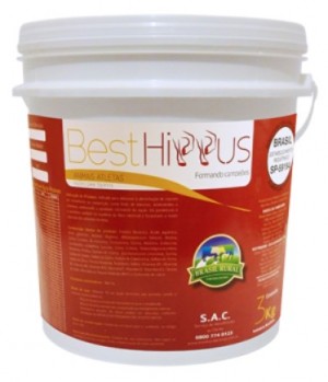 best hippus animais atletas