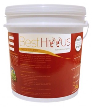 best-hippus-casco e pelagem