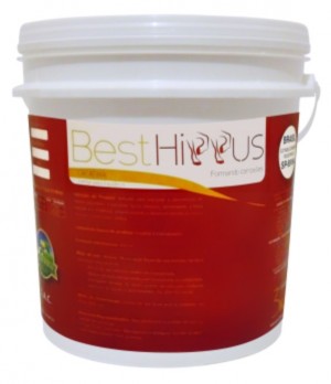 best-hippus-creatina